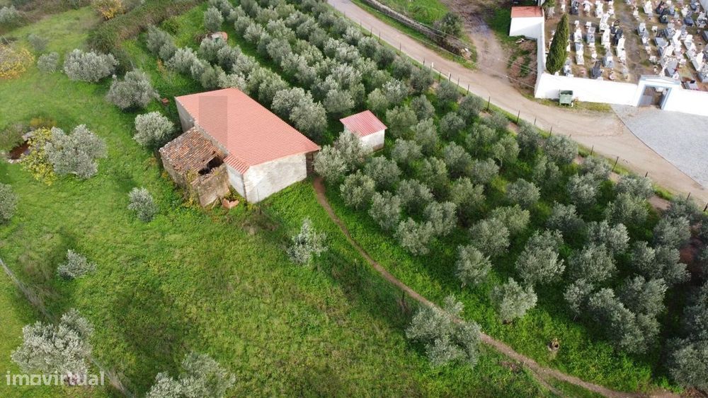 Alojamento Rustico com 6000m2 de Terreno em Salavessa Nisa