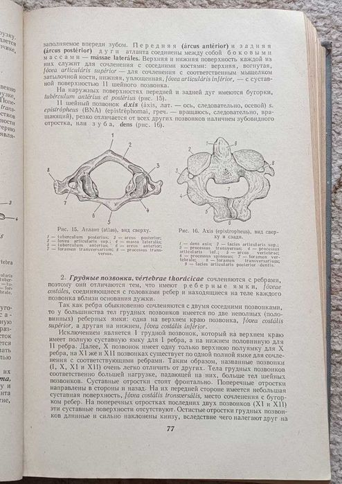 Підручник Анатомия Человека