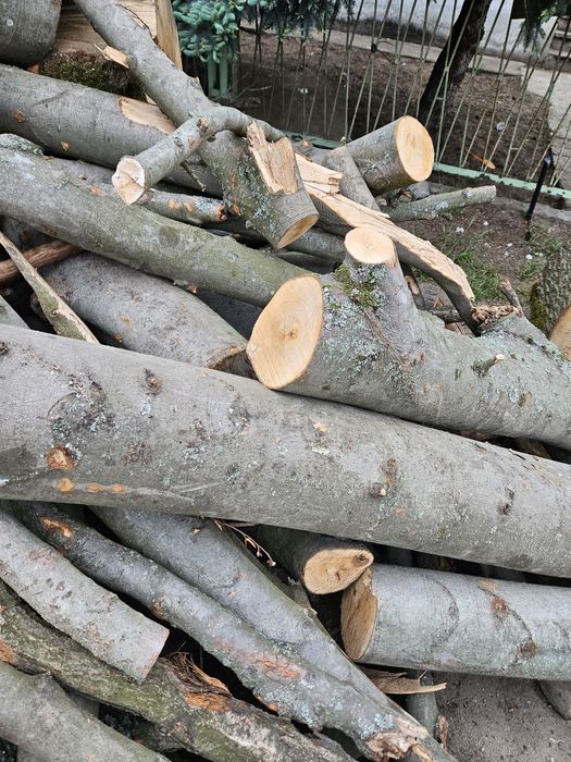 Sprzedam drewno opałowe