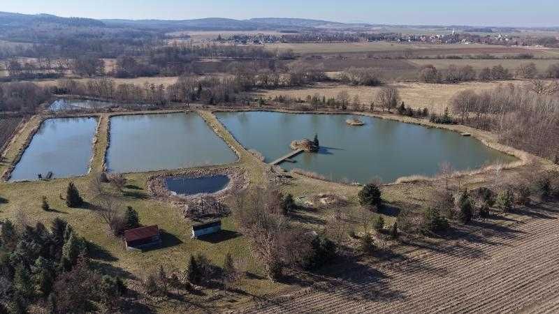 Łowisko wędkarskie z terenem rekreacyjnym niedaleko Wrocławia