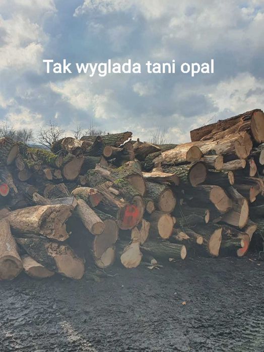 drewno kominkowe sezonowane