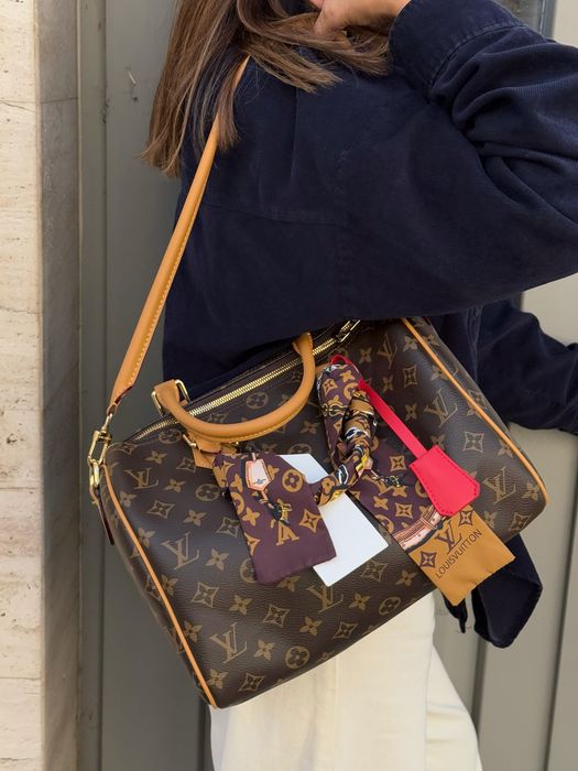 Сумка Louis Vuitton Speedy