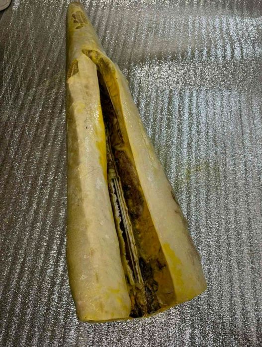 Осетр та белуга тушки 5+ 7+ 10+ 20 +