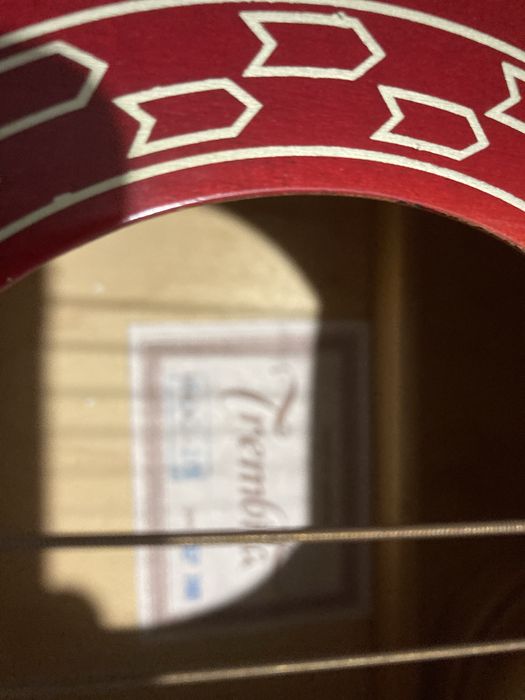 Гитара Trembita з чохлом