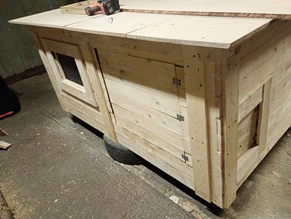 Na sprzedaż kurnik wraz z kurkami Silka