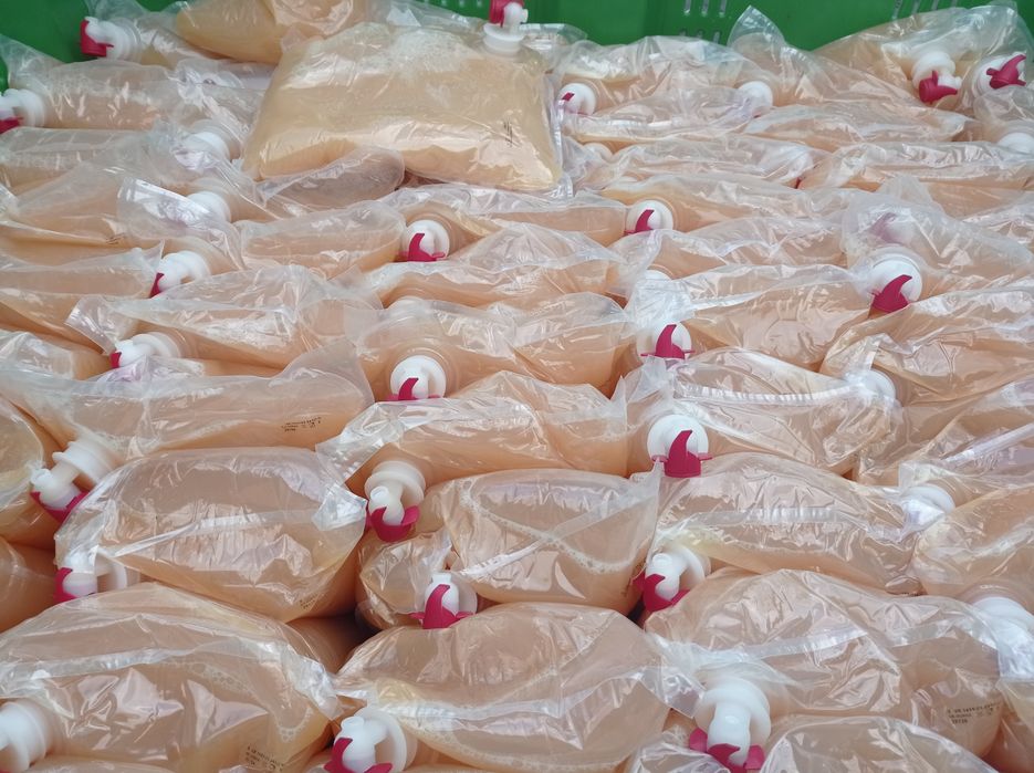 SOK 100 % NFC 3 L, pigwowiec japoński, owoce z ekologicznej plantacji.