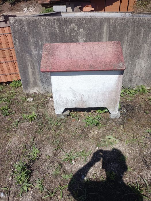 Casota de cão medio