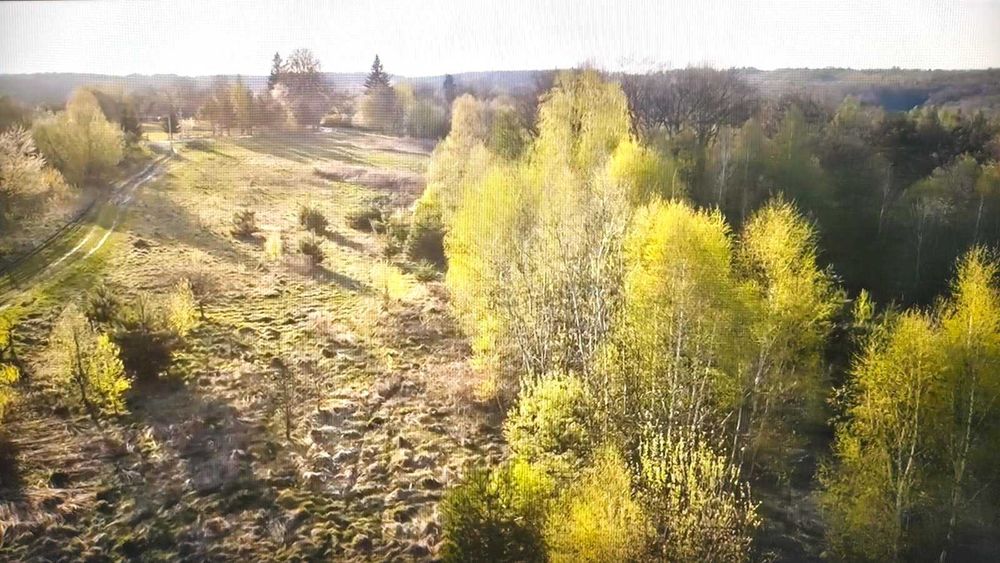 Ділянка садівництво с.Майдан дві по 10сот. суміжні (20 соток) 2200$/сота