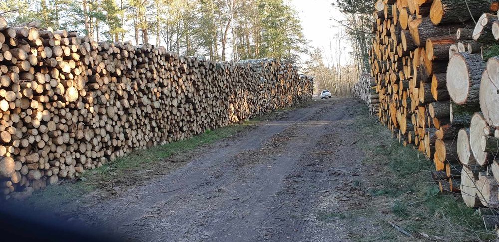 Drewno opałowe z dowozem