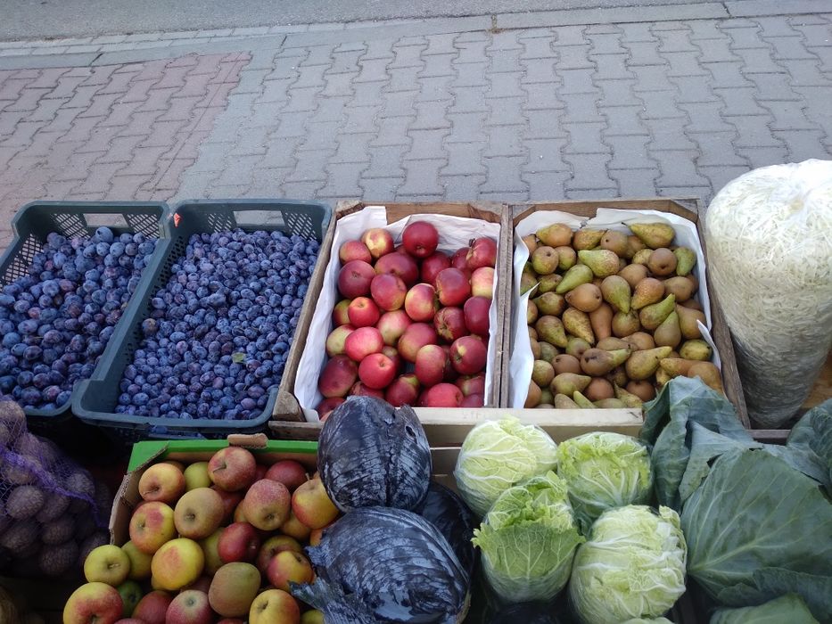 Warzywa i owoce od rolnika. Ziemniaki do sadzenia.