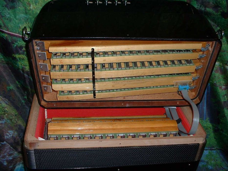 Acordeão Avenda G, .529