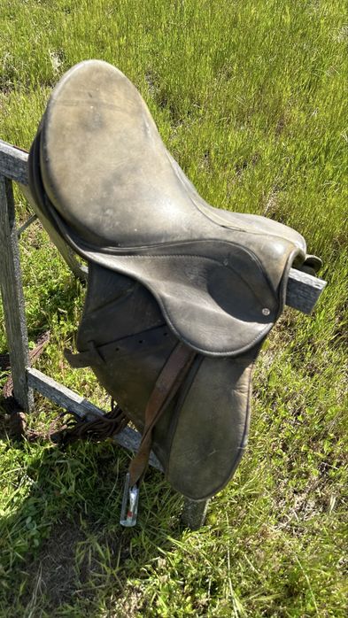 Cela para Cavalo Equitação