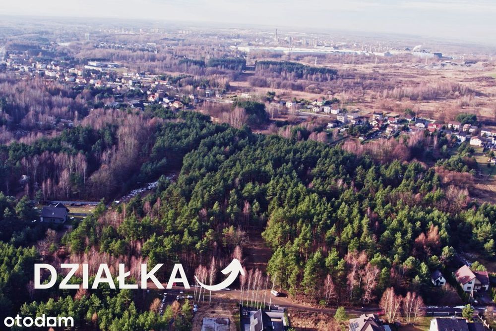 W nowej cenie - Piękna działka w otoczeniu lasu
