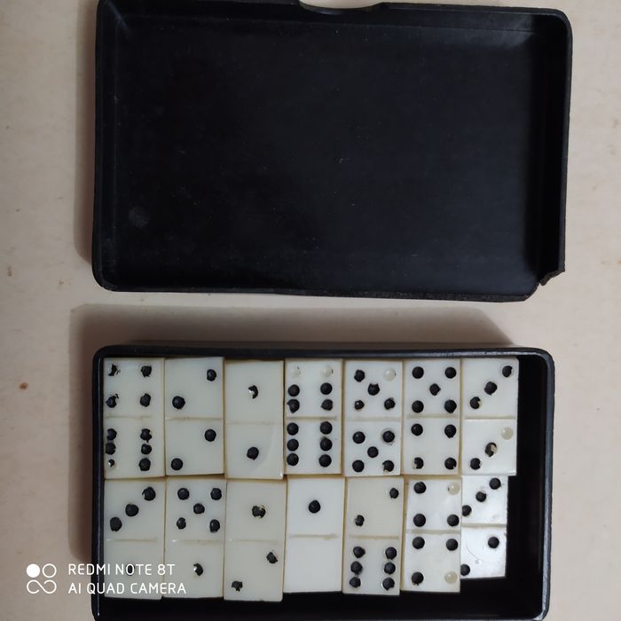 домино и шайба