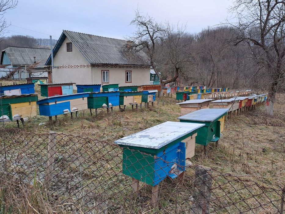 Продам вулики(нові)