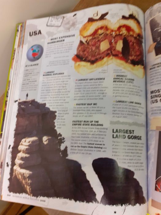 "Guinness World Records 2009"