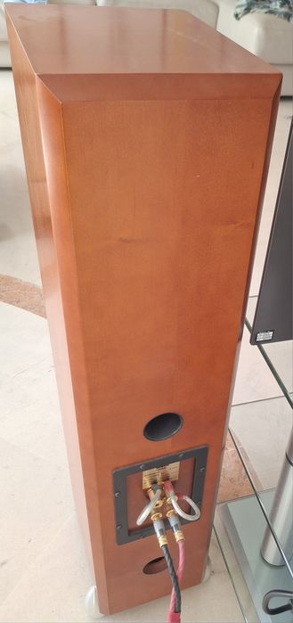 Totem acoustic Forest loudspeakers