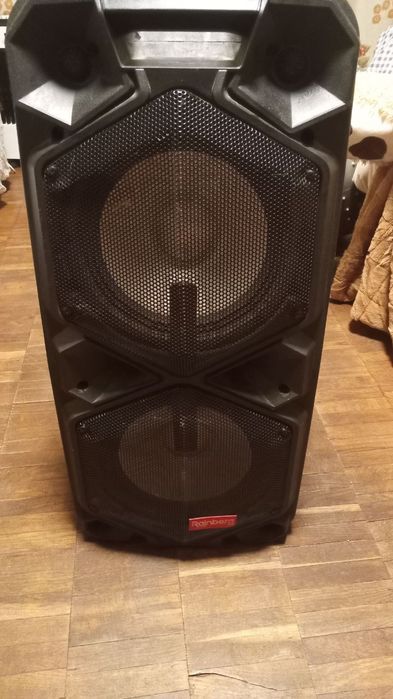 Колонка аккумуляторная Rainberg RB-1010B/ 2x10"/ 2x100W/ микрофон/ BT/