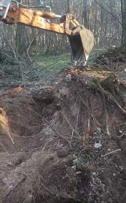 услуги аренда мини экскаватора