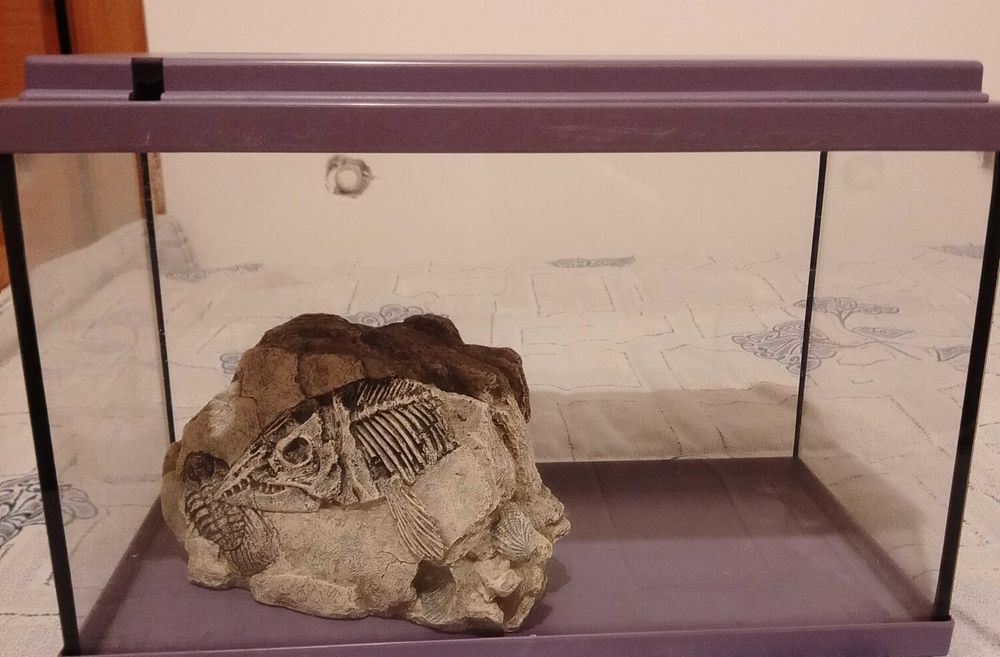 Aquário para peixes.