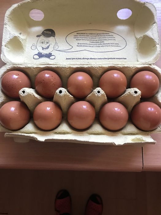 Sprzedam jajka ekologiczne