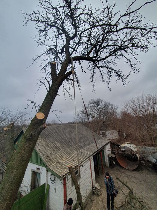 Професійна зрізка дерев та благоустрій ділянок корчування,вивіз.