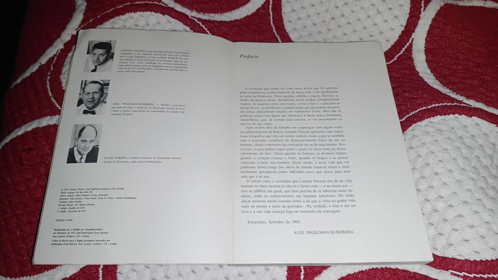 Como nasce uma criança