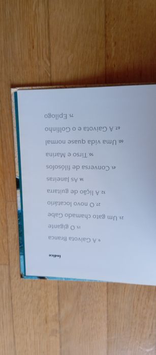 Livro a menina do búzio