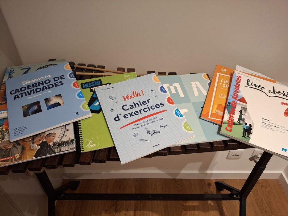 Cadernos de atividades 7 ano