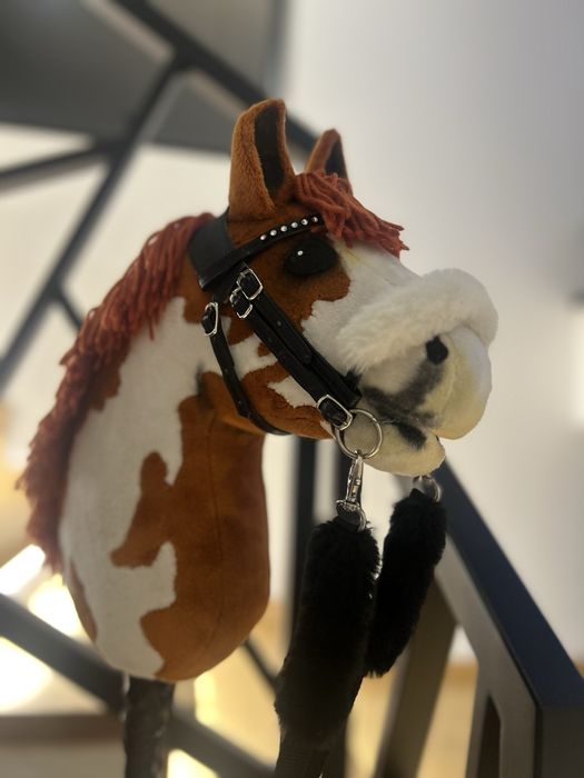 Hobby horse A5 lekki