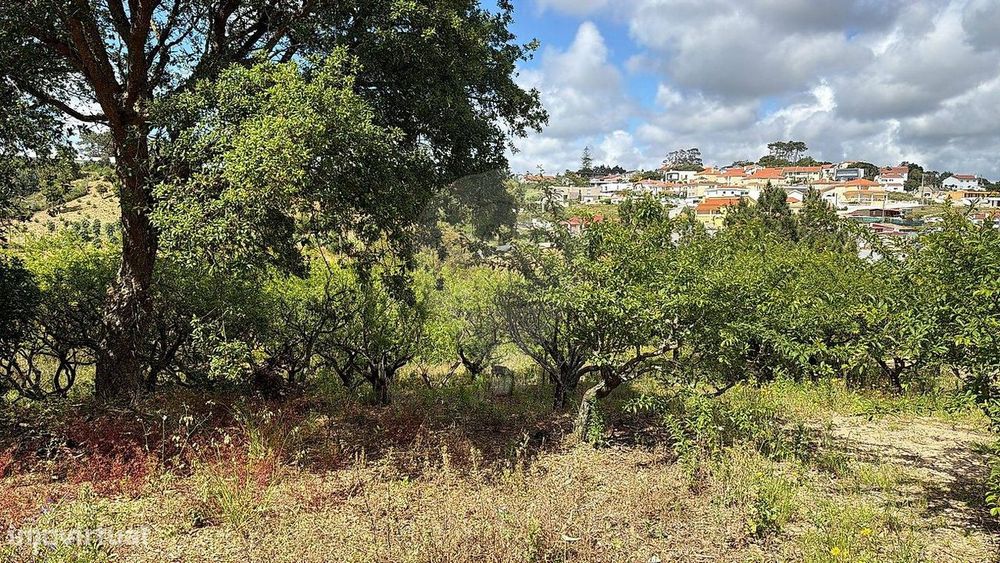 Terreno  para venda