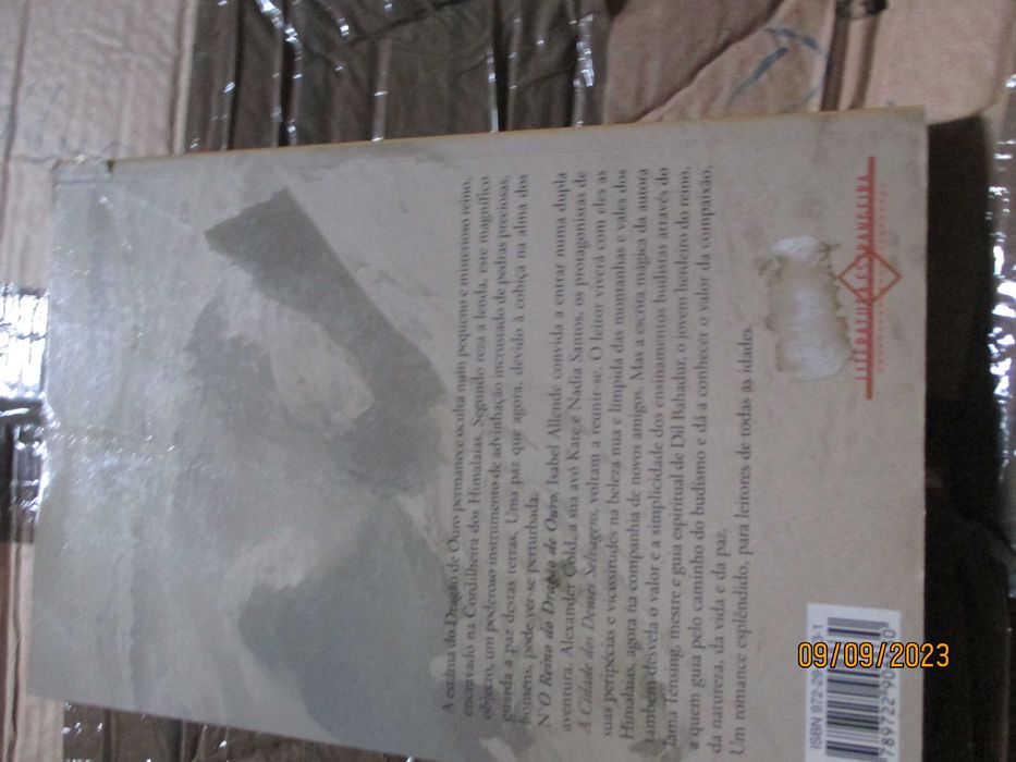 Livro - O reino do dragão de ouro de Isabel Allende
