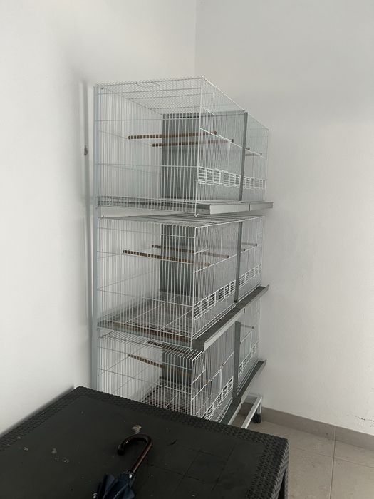 Gaiolas para passaros