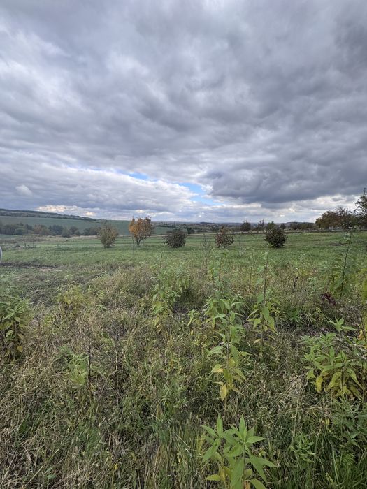Продається будинок, поблизу м.Новий Розділ