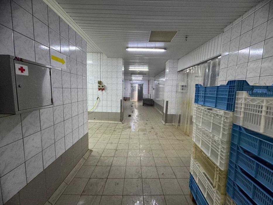 Сдаются помещения с морозильными камерами