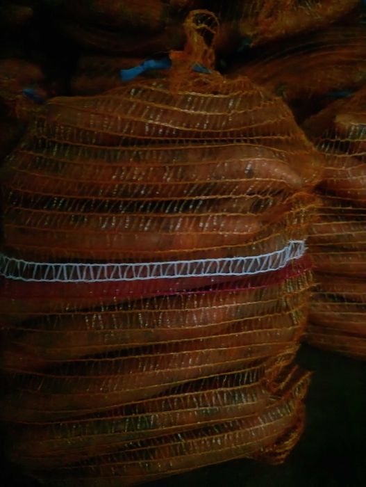 Marchew na sprzedaż