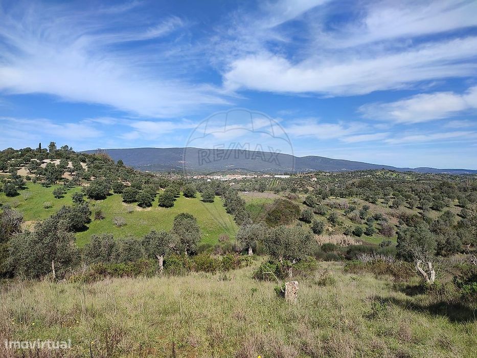 Terreno  para venda — Torres Novas (São Pedro), Lapas E Ribeira Branca, Santarém