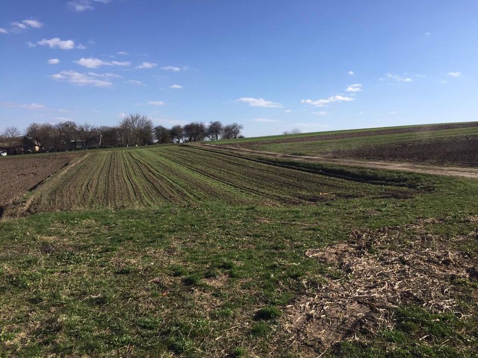 Продам земельну ділянку