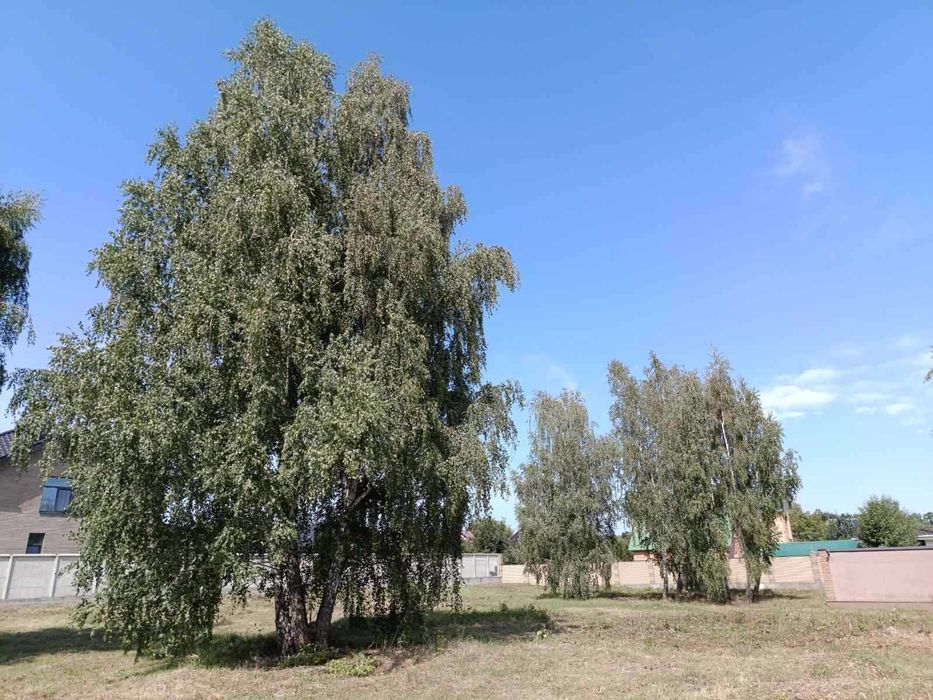 Продається унікальна ділянка 30 соток с. Нові Петрівці 7 км від Києва