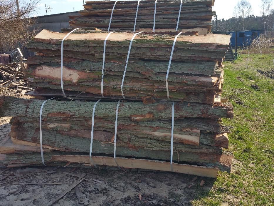 Dąb,dębina oflis,zrzyny Poznań,Szamotuły,Pniewy,Wronki