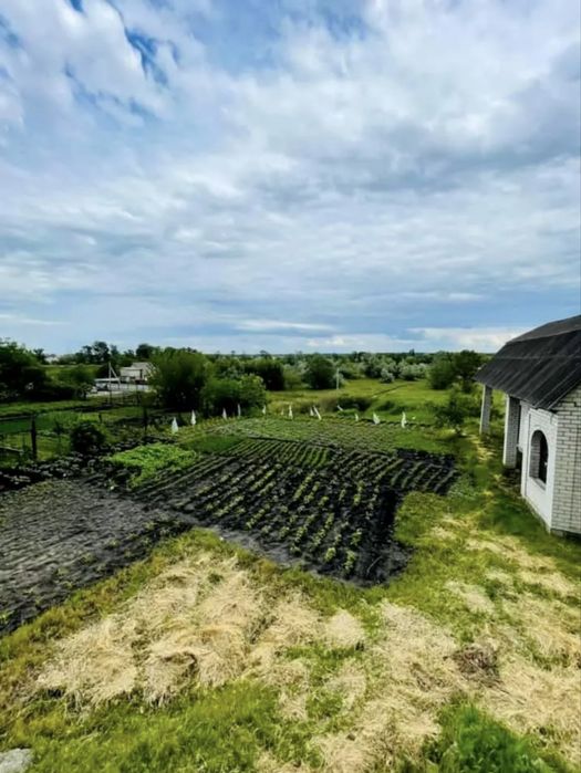 Продаж будинку у Великій Кохнівці (Кременчук)