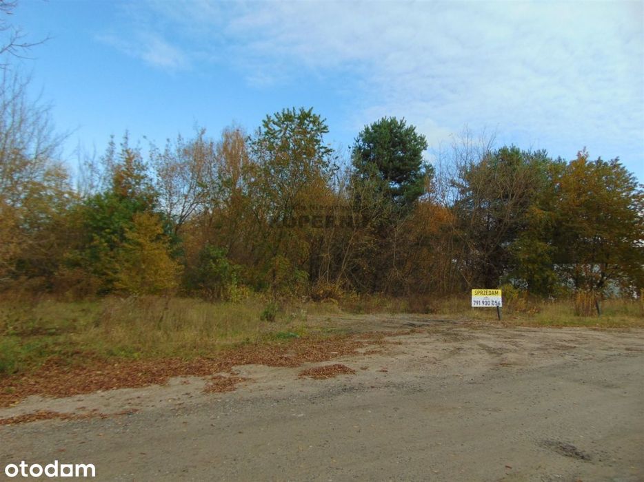 Trzy Działki !!! Toruń Rudak 5353m2