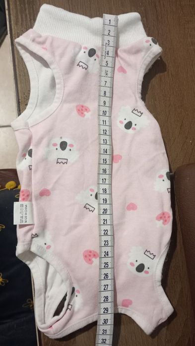 Ubranko pooperacyjne dla kota