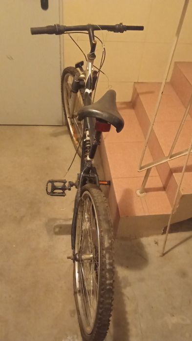 Rower 26 " TANIO