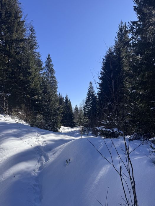 Ділянка в Карпатах біля річки ( Кривопільський перевал )