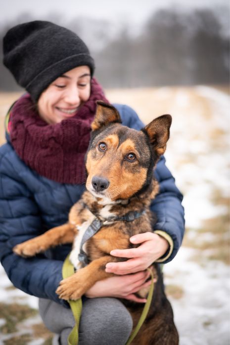 Nieduży, rezolutny Cypisek szuka domu. Adopcja.
