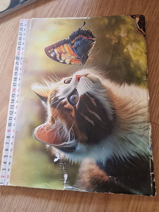 Zeszyt ćwiczeń ćwiczenia angielski Shine On kl  2