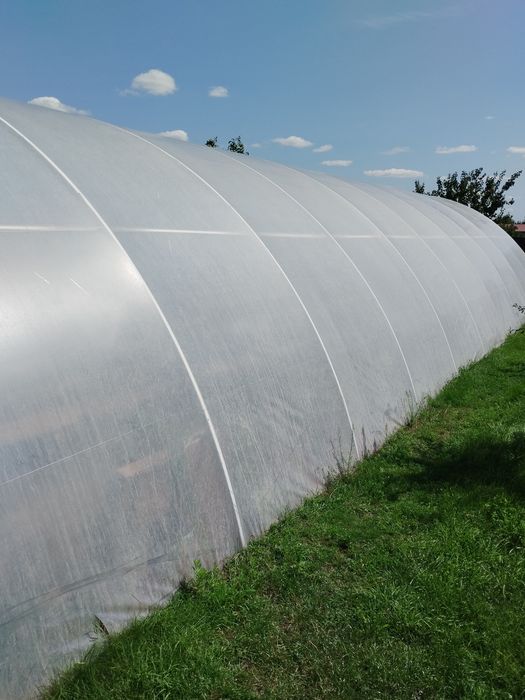 Продається теплиця  розмір 7.80-22-3.50 каркас проф труба