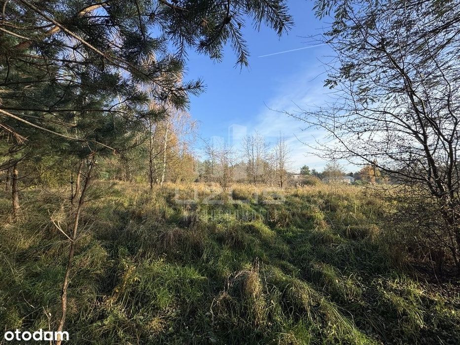 Działka 5000 m² | Widok na wodę | Las - More