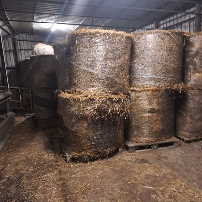 Sprzedam  slome z owsa